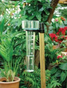 Rain gauge