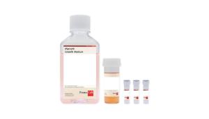 Myozyten-Wachstumsmedium-Kit