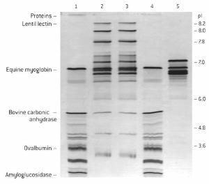 Agarose, SeaKem® HE