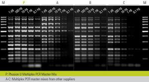 Master mixes, multiplex, Phusion® U 