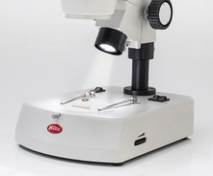 Stereomicroscope