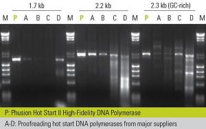 DNA polymerases, Phusion® hot start II high-fidelity PCR master mix