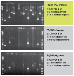 Phusion® High-Fidelity PCR Master Mix with GC Buffer