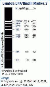 Lambda DNA/HindIII Marker