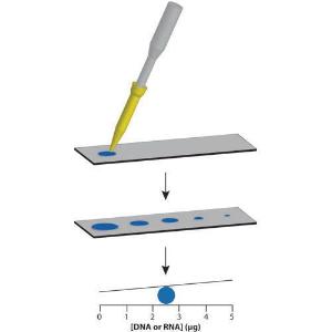 NUCLEIC dotMETRIC™-Assay-Kit