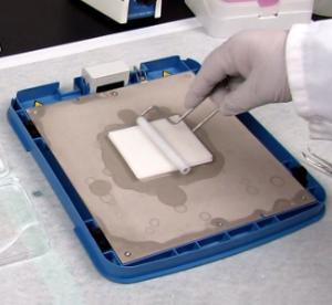 Western blot roller, Pierce™ 