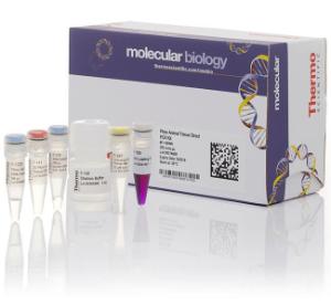 Direct PCR Kits