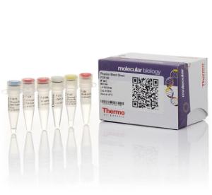 Direct PCR Kits