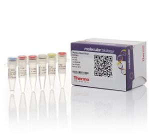 Direct PCR Kits