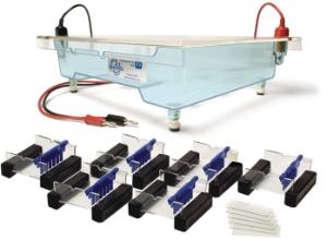 Horizontale Elektrophoresekammer, M36 HexaGel™