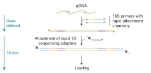 16S Barcoding kit 1-24 library preparation workflow