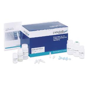 Mycobacteria DNA Kit (S-Line), peqGOLD