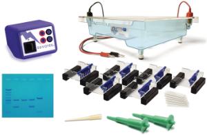 DNA-Elektrophorese LabStation™ für das Lehrlabor