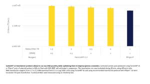 Transfection conditions