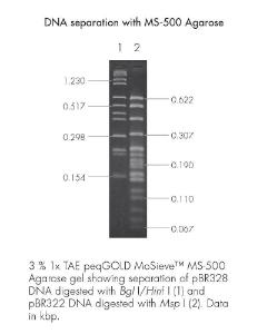 Agarose, peqGOLD MoSieve™-Agarose