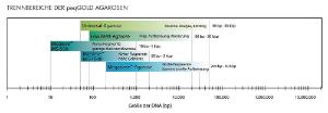 Agarose, peqGOLD MoSieve™-Agarose