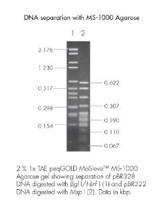 Agarose, peqGOLD MoSieve™-Agarose