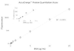 Der AccuOrange™ Assay hat einen linearen Nachweisbereich von 0,1 - 15 µg/ml Protein