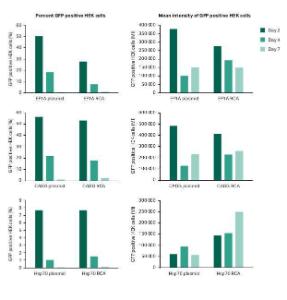 illustra™ TempliPhi™ sequence resolver kits