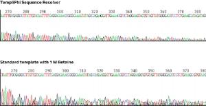 illustra™ TempliPhi™ sequence resolver kits