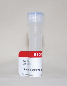 Annexin V conjugates