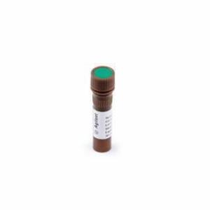 High Sensitivity RNA ScreenTape sample buffer 5067 5580 4200 TapeStation 