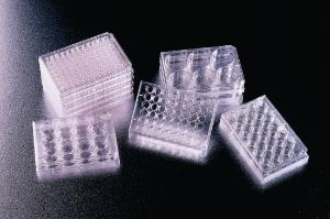 Collagen I-coated microplates, Corning® BioCoat®