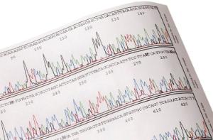 Experimentation kits, sequencing the human genome