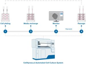 CellXpress.ai Automated cell culture system workflow