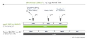 Arbeitsablauf des sparQ RNA-Seq HMR Kits