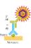 Western blot assay kits, ScanLater™