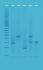 Experimentation kits, DNA fingerprinting - using PCR