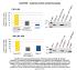 FectoCHO™ Proteinproduktion CHO + HEK-Zellen