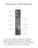 Agarose, peqGOLD MoSieve™-Agarose