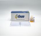 Product Image-ENZOADI907030A